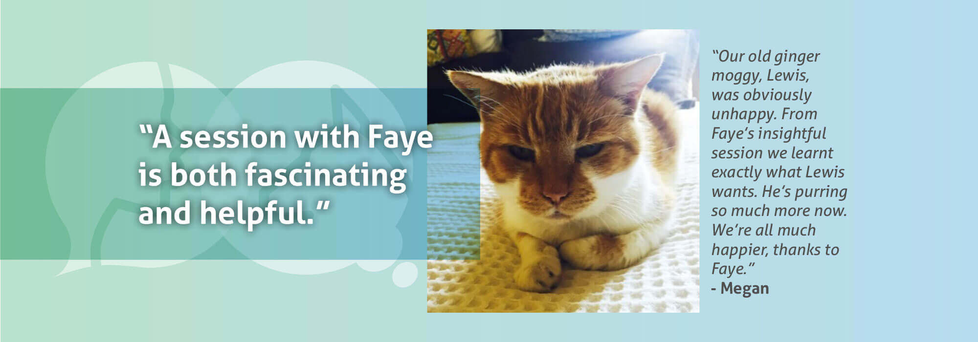 Animal Communication & Talk Animal Behaviour Animal Speak